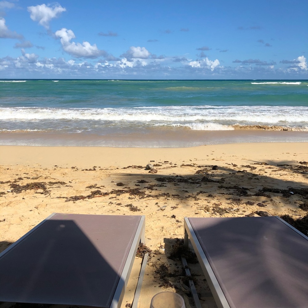 Meet your Posher, Humberto